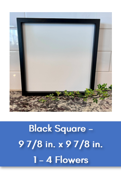 Sign Option